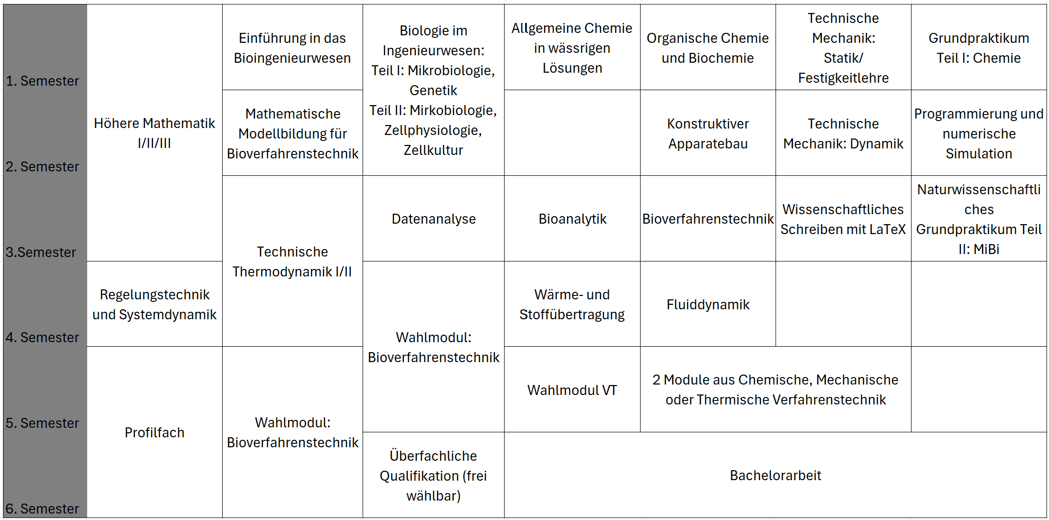 Studienplan BIW SPO 2026